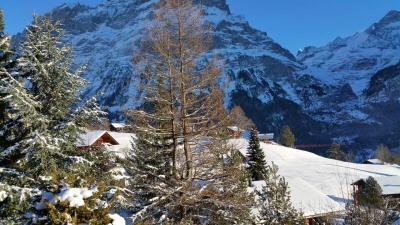 Ausblick_auf Bodmi-Skipiste