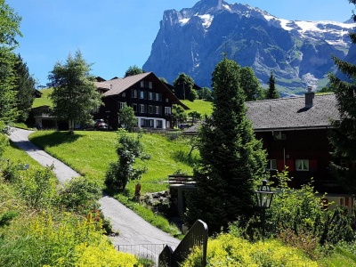 Blick zum Wetterhorn